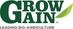 Grow Grain